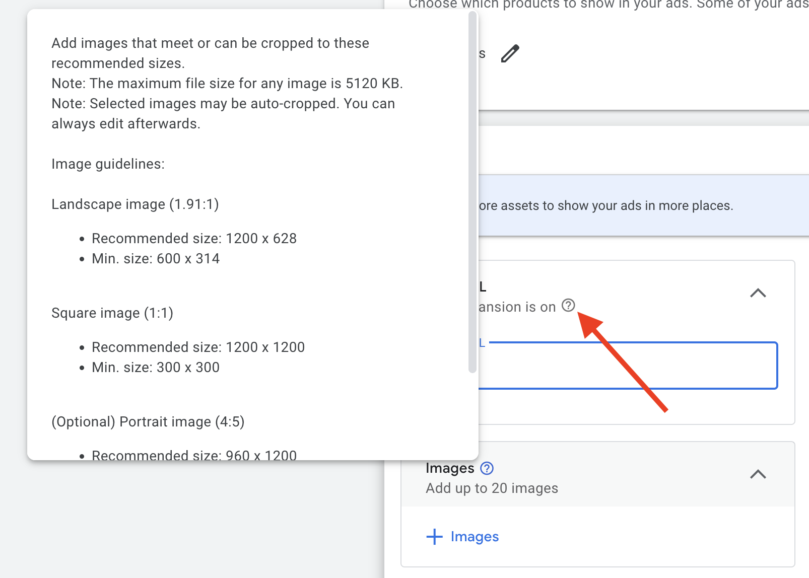 Screen Shot of Google Performance Max Image Assets specification tool-tip